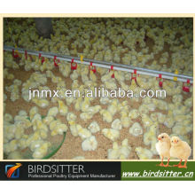 professional broiler and breeder use poultry drinkers